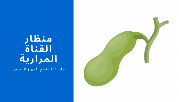 منظار القناة المرارية